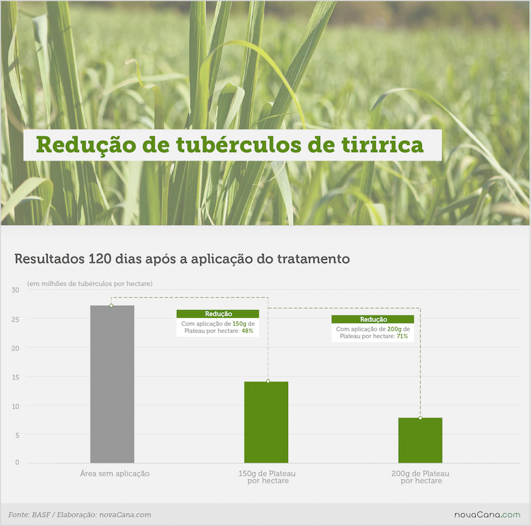 basf plateau tiririca