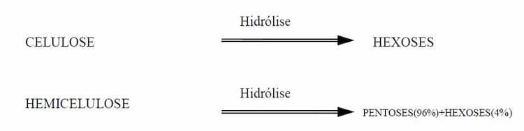 representa-hidrolise