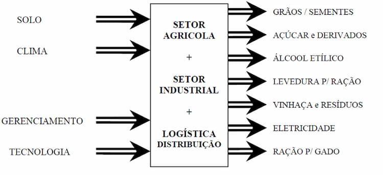 setor-agentes