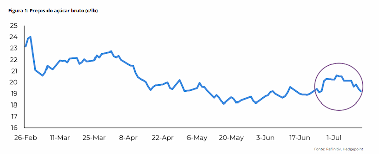 hedgepoint 150724 1 preco acucar