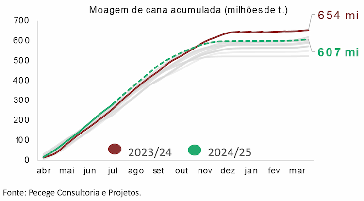 pecege tendencia safra 230824
