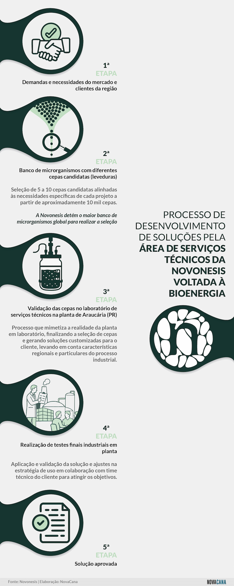 novonesis serviços tecnicos5