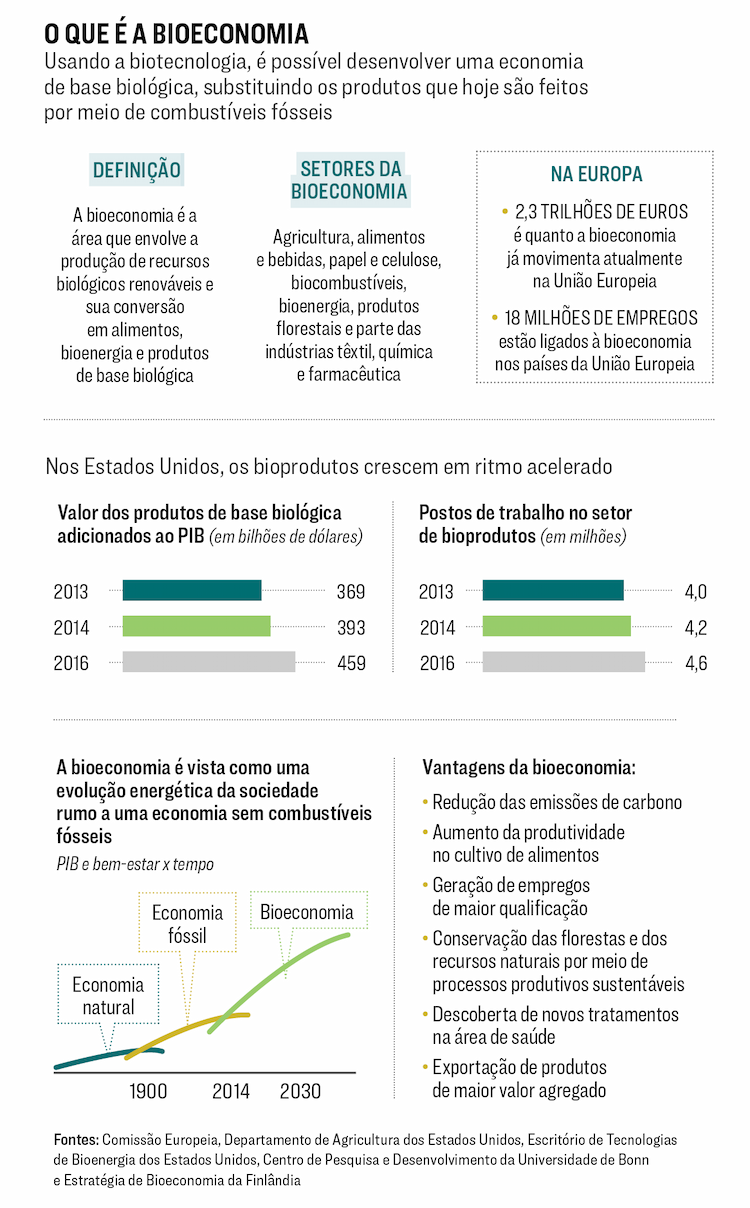 bioeconomia 191119 resumo