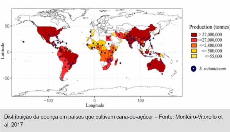 fungo mapa usp 061118