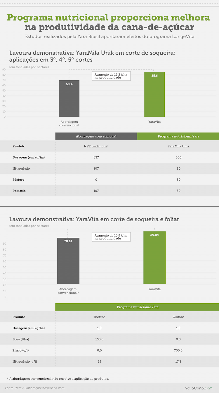 yara longevita estudos V6