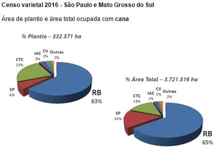 censo-varietal-310816