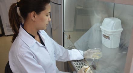 enzimas-etanol-2g-091112