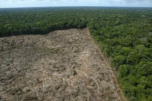 amazonia desmatamento 250913