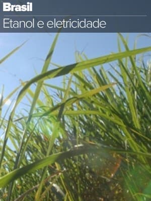 Brasil aposta no etanol e na eletricidade