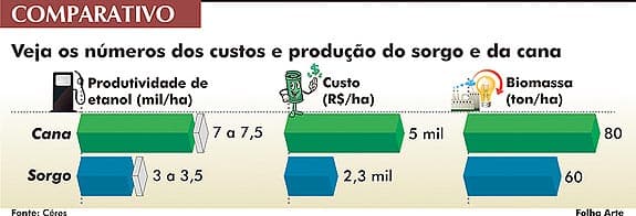 sorgo-cana-comparativo-220413