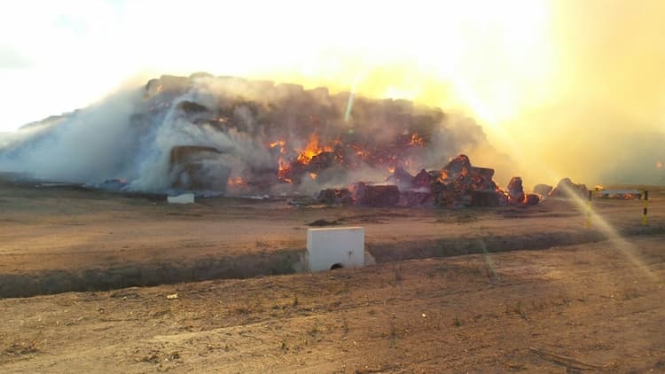 incendio granBio 3 101115