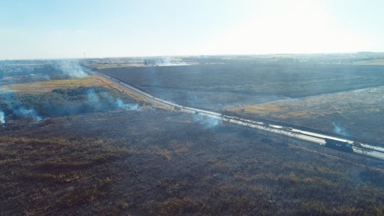 Queimada atinge áreas de cana às margens de rodovia em Guapiaçu (SP)