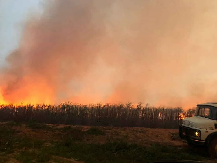 Usinas lançam campanhas e divulgam tecnologias para controle de incêndios