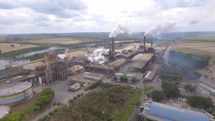CEO da Colombo Agroindústria é afastado do cargo após denúncias de irregularidades