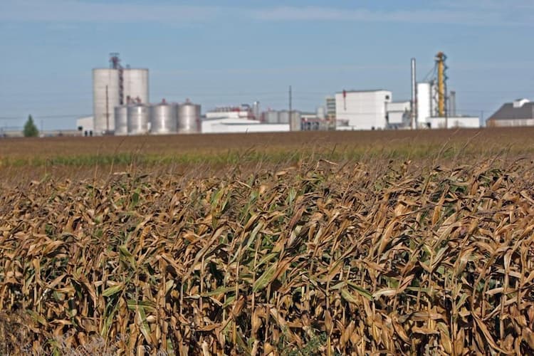 FS Bioenergia alega motivo de força maior e paralisa ampliação de usina [atualizado]