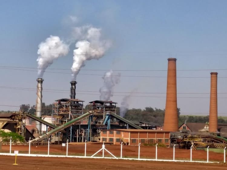 Lucro da Raízen cai 51,5% no 1º trimestre de 2023/24; resultado do canavial melhora