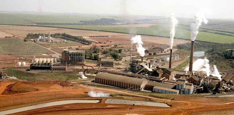 São Martinho registra lucro líquido de R$ 91,46 milhões no 1º trimestre de 2019/20