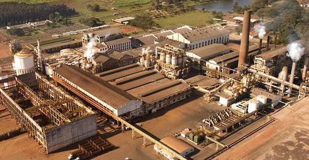 São Martinho registra receita e lucro líquidos mais elevados de sua história na safra 2023/24