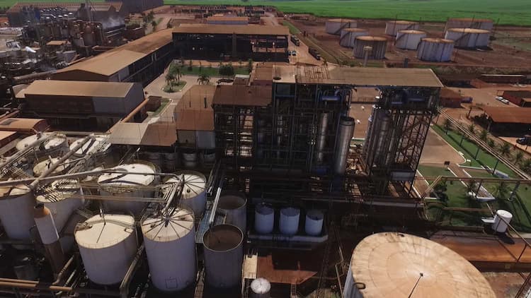 Tereos vai elevar em 10% a moagem de cana 2023/24; prevê alta de 6,25% para açúcar