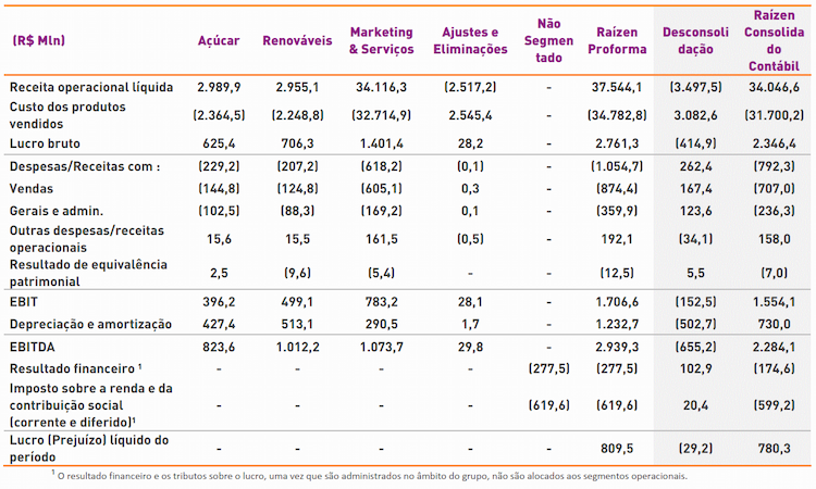raizen 1t22 segmentos 130821