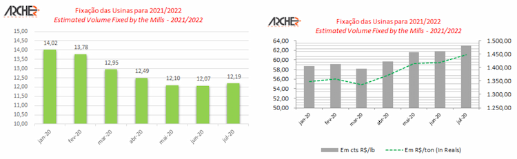 archer 270820