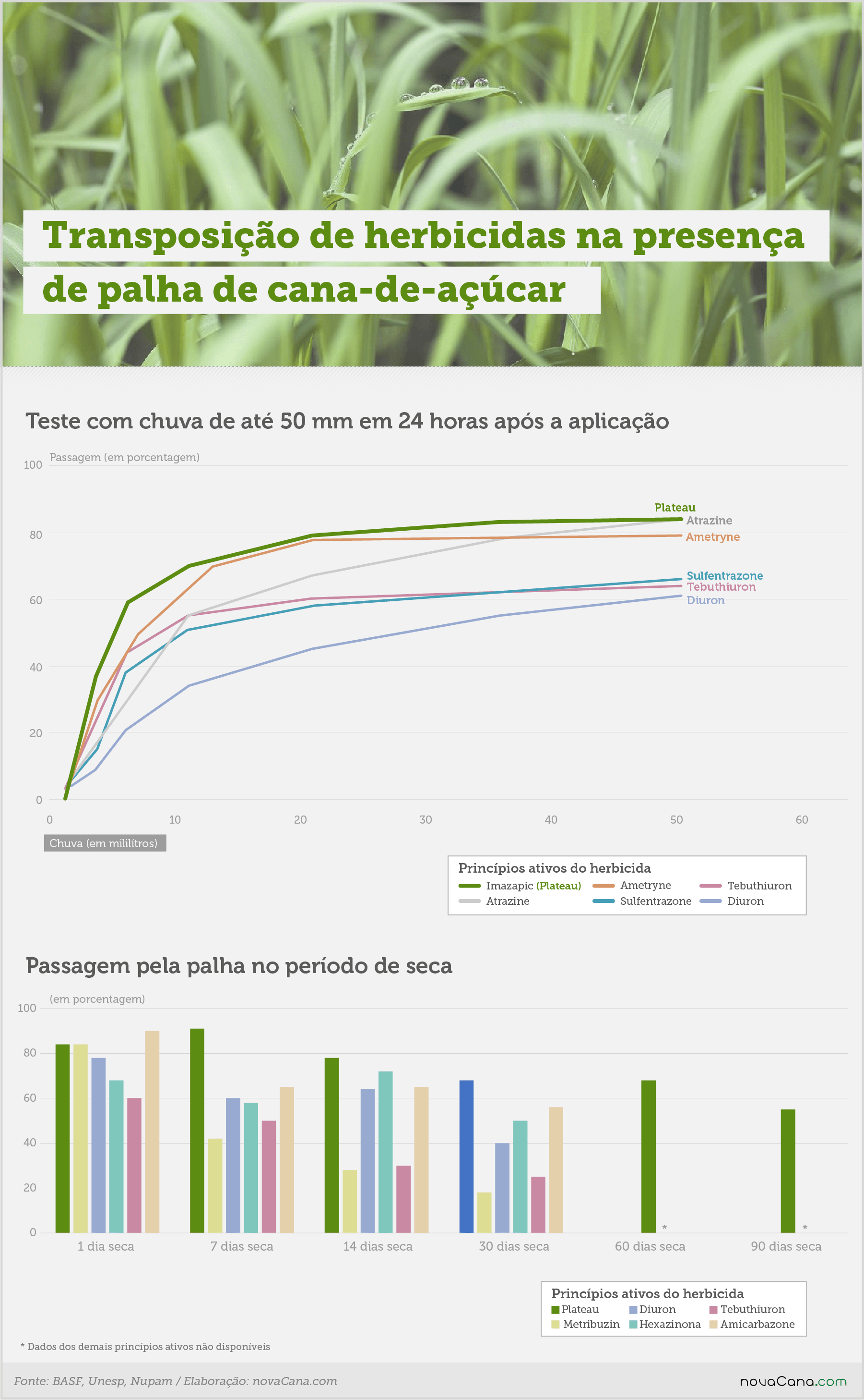 basf plateau palhada