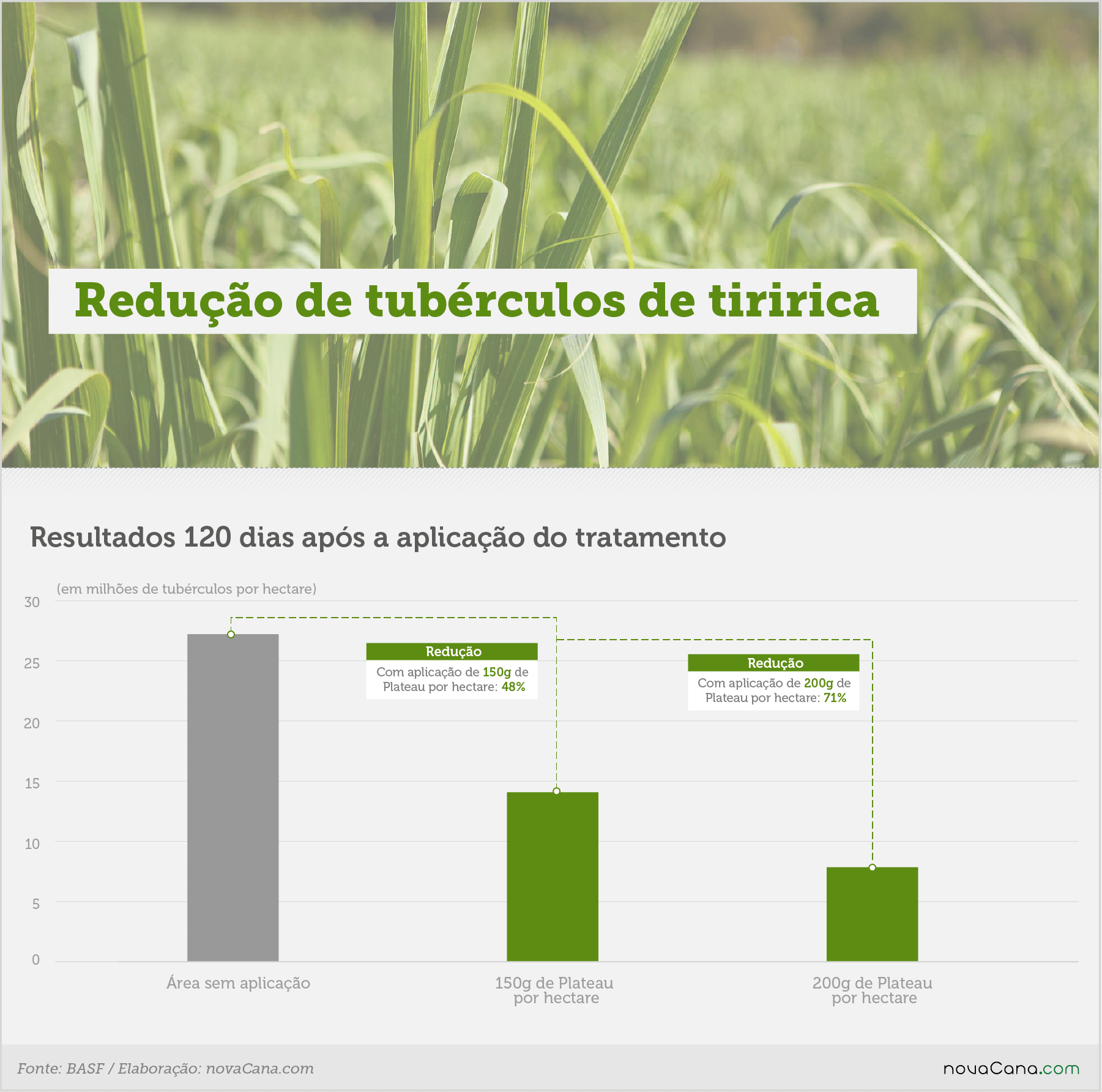 basf plateau tiririca