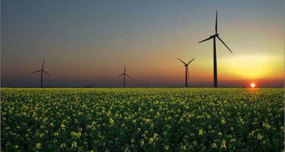Leilão de Fontes Alternativas terá preço teto de R$ 215/MWh para biomassa e de R$ 179/MWh para eólica  