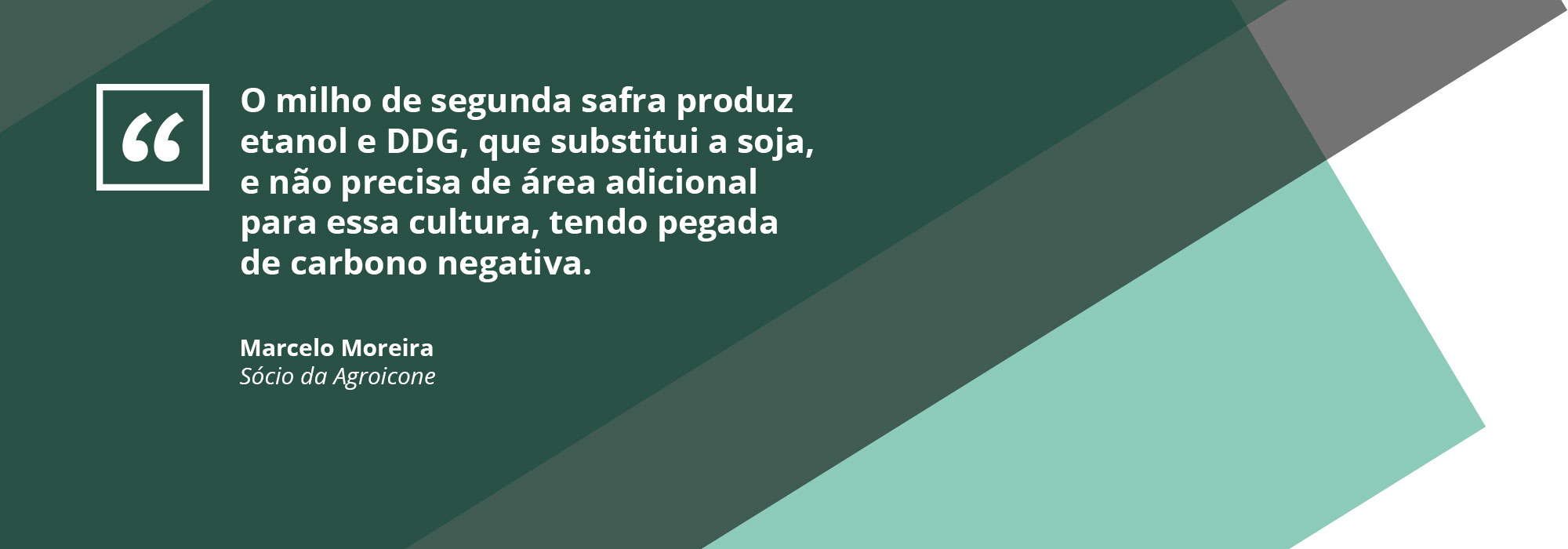 Marcelo Moreira