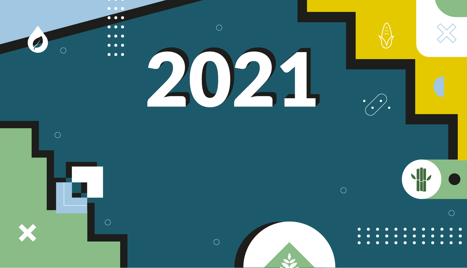 NovaCana em 2021: um ano de mudanças