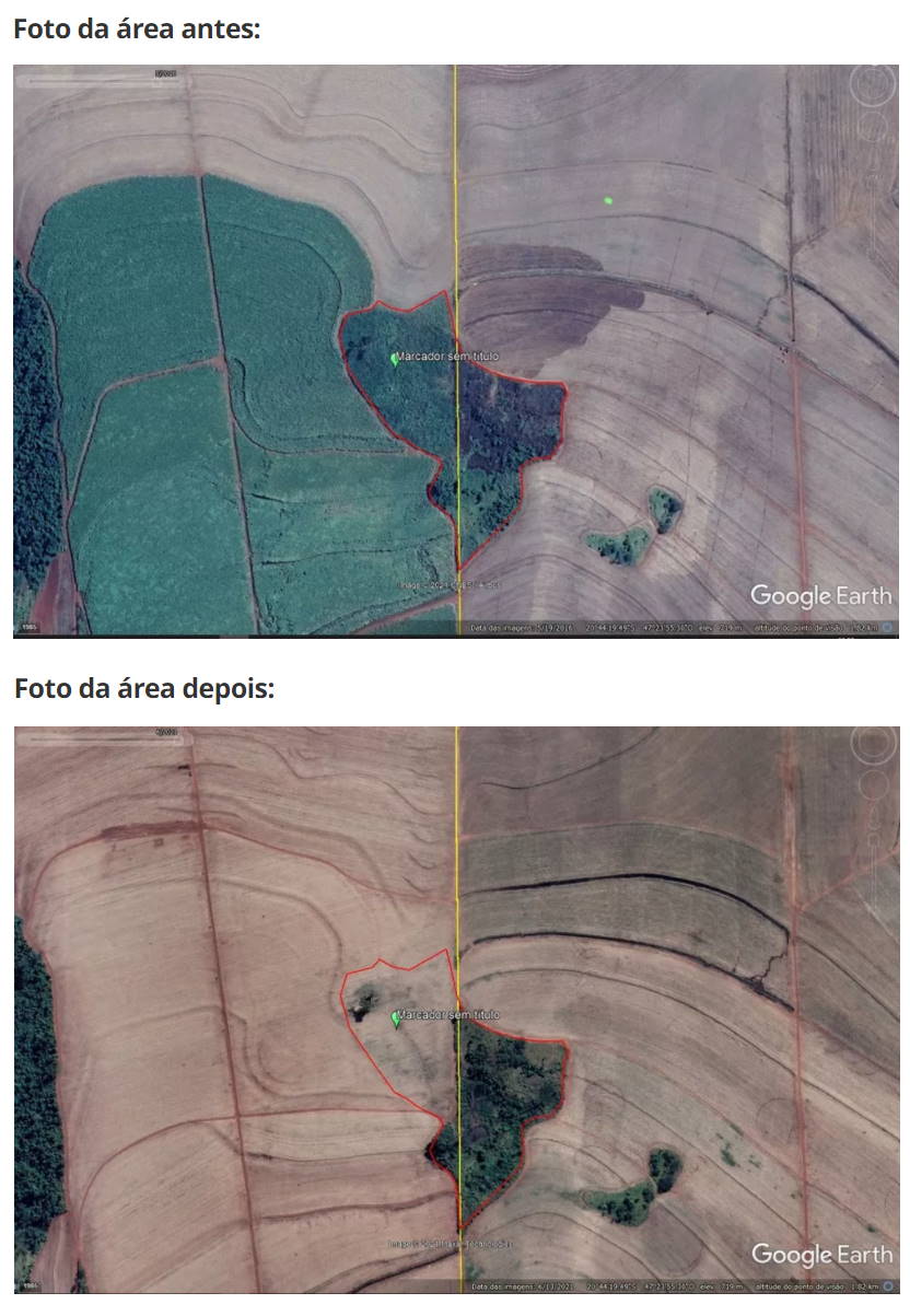 desmatamento antes depois 221121