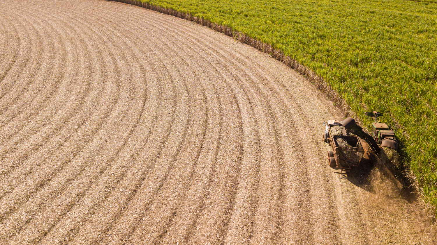 Monitoramento agrometeorológico é importante para a produtividade da cana