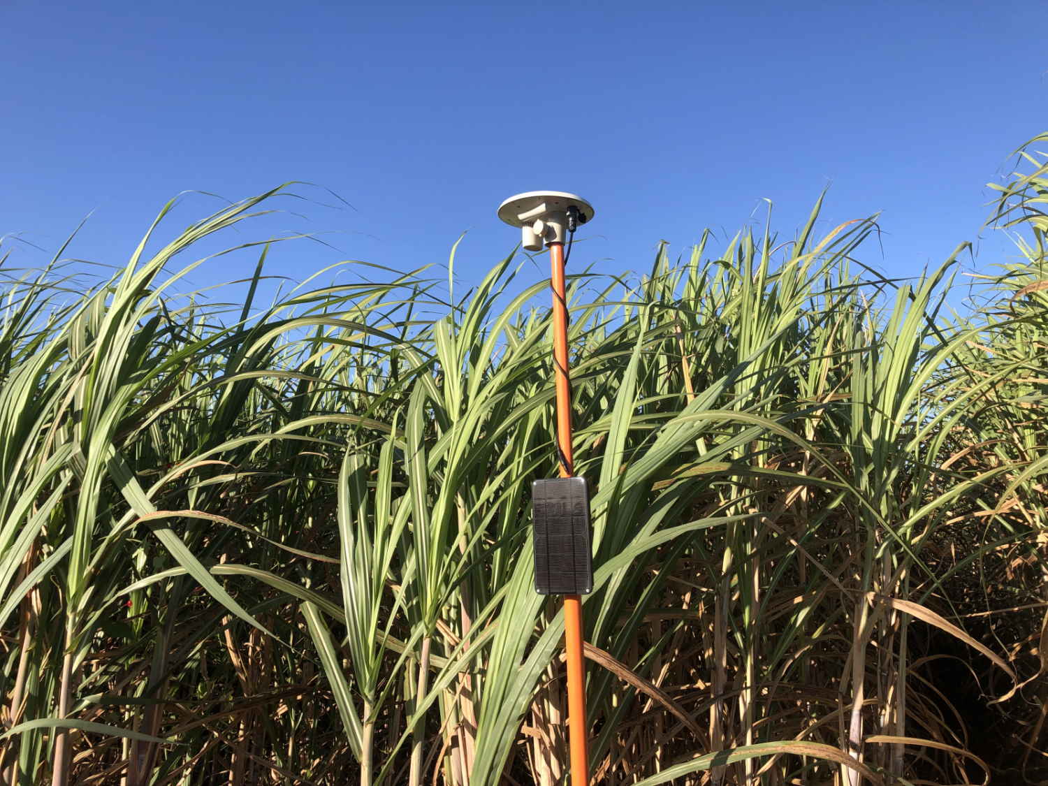arable 3 111022