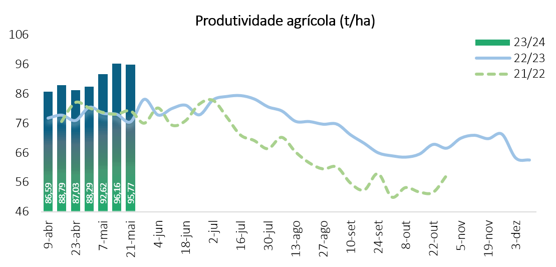 pecege safra 020623 produtividade