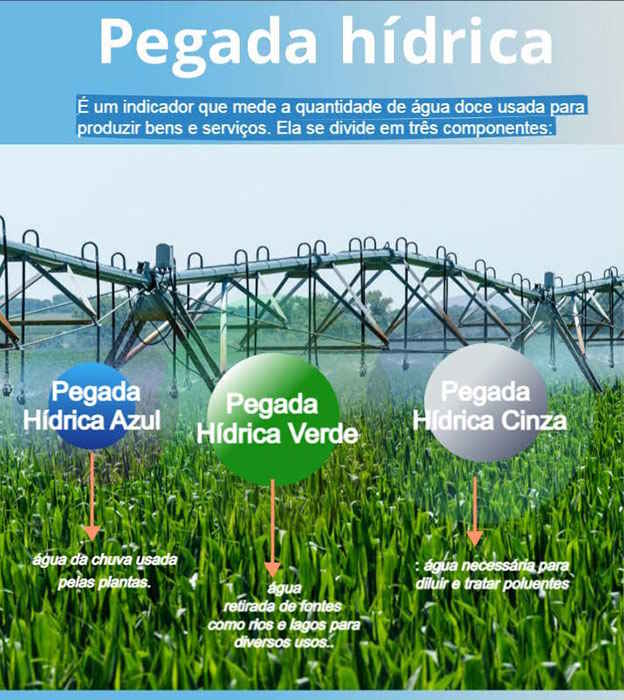 pegada hidrica 101023