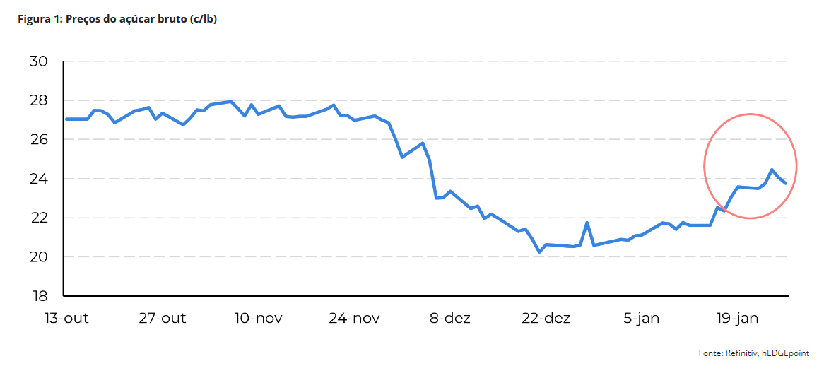 hedge 300124 1 preco