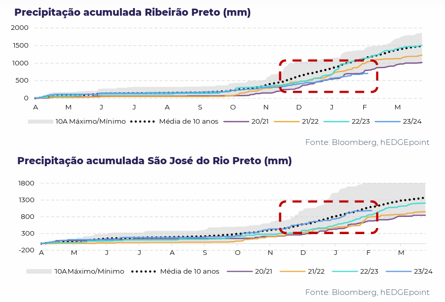 hedge clima 2 140224