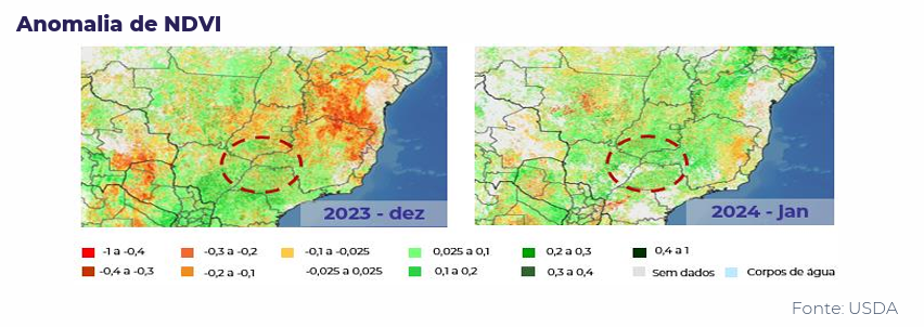 hedge clima 3 140224
