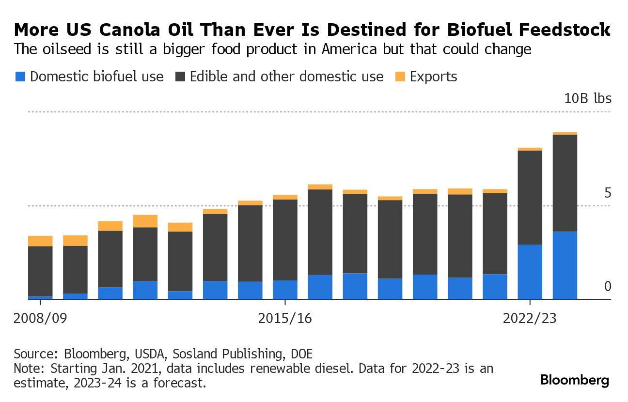 canola eua 260724