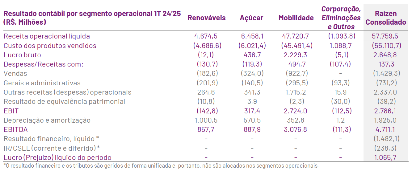 raizen 140824 resultado segmento