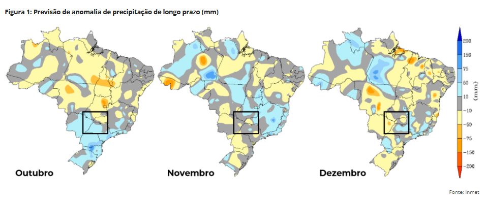 hedgepoint 300924 1 previsao chuva