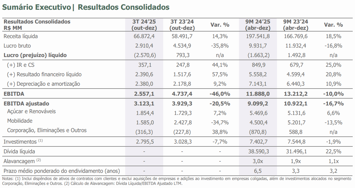 raizen 170225 resultados