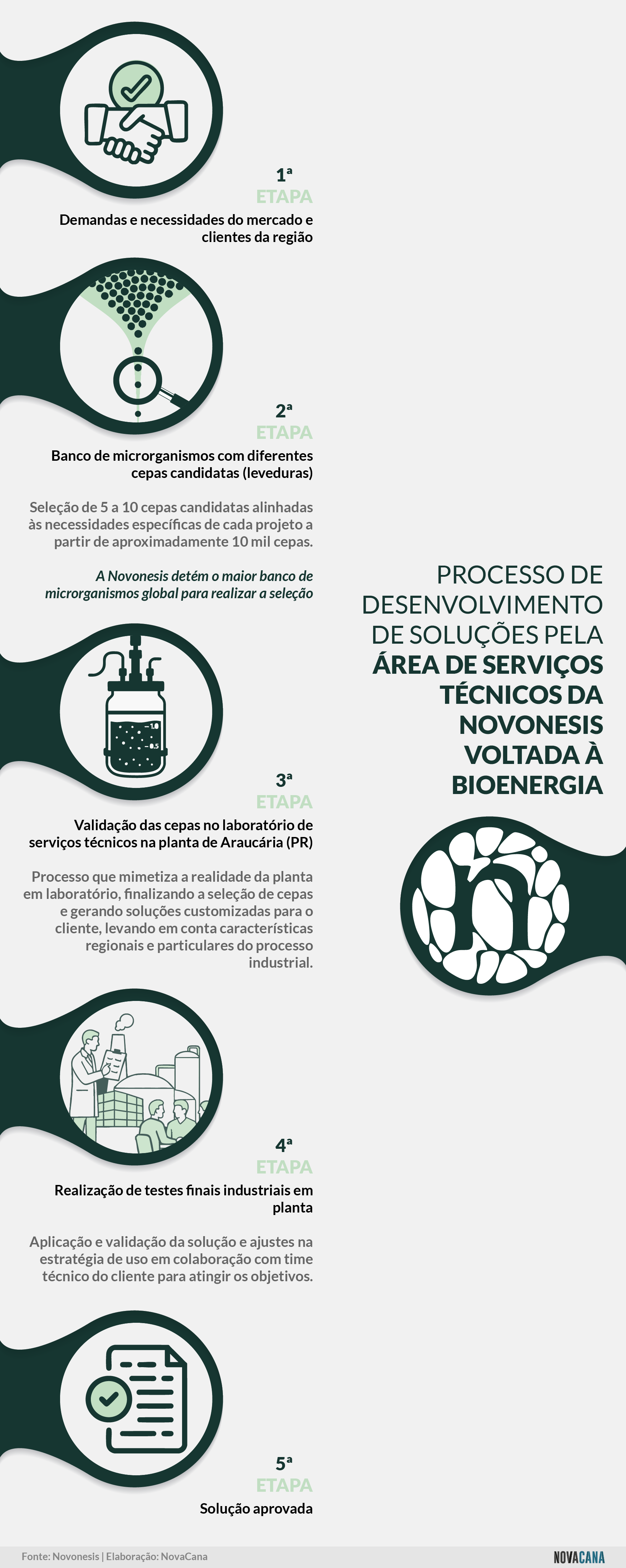 novonesis serviços tecnicos5