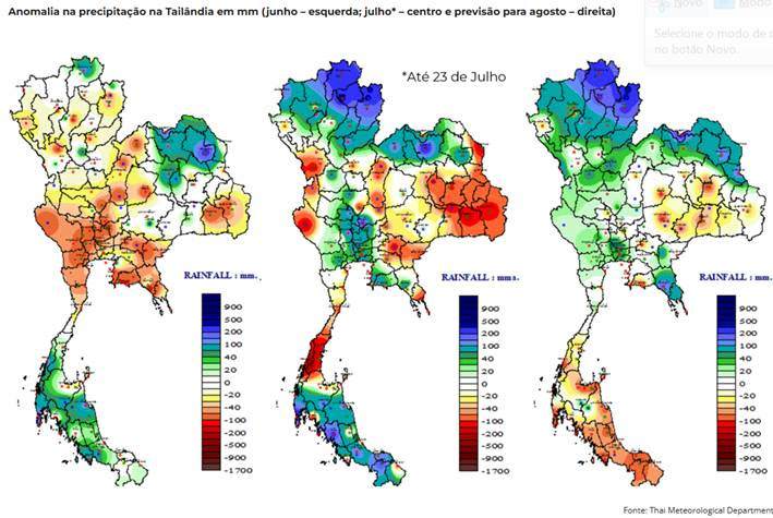 hedgepoint 300725 tailandia