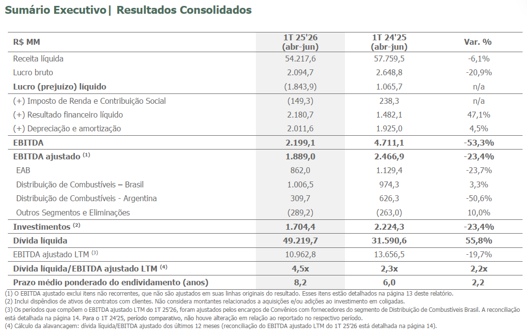 raizen 140825 resultados