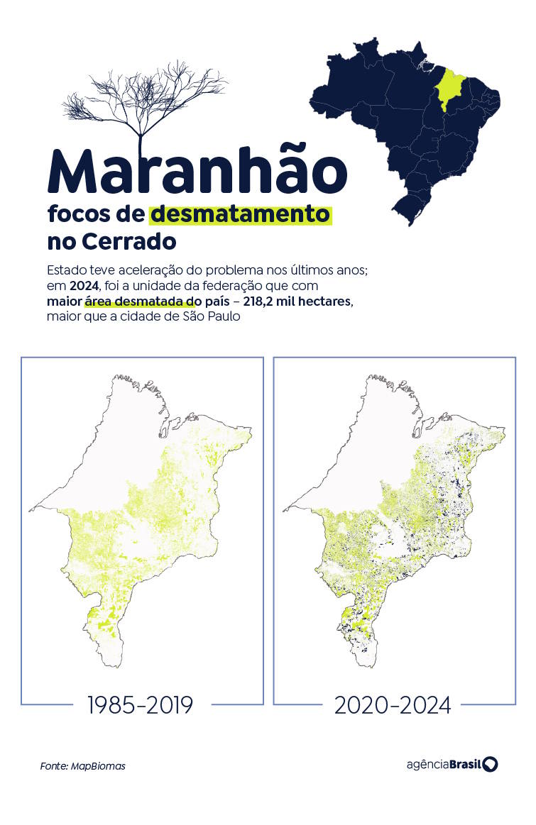 maranhao 041125 desmatamento