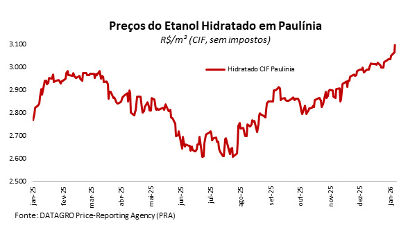 datagro etanol 1 paulinia