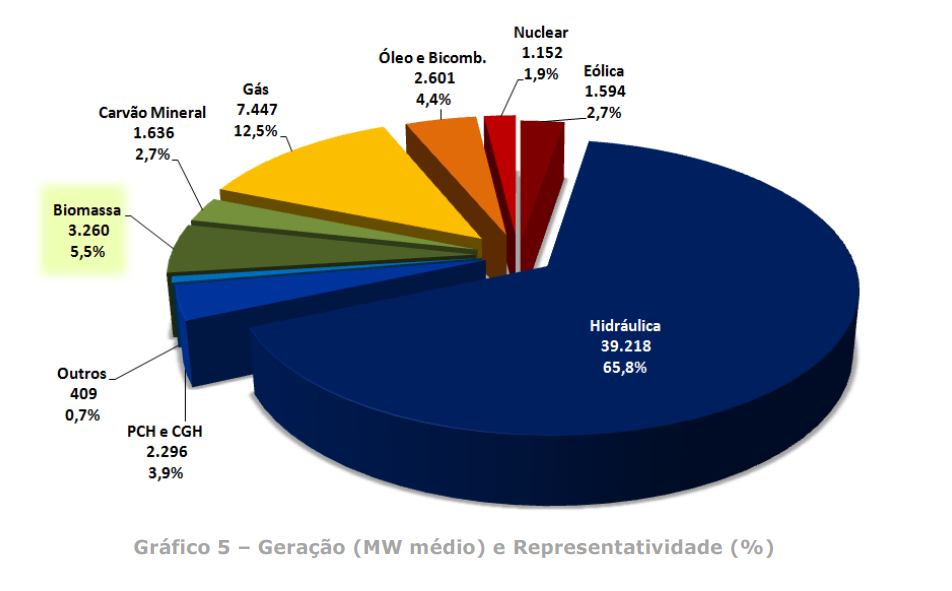 2 biomassa ccee 072014
