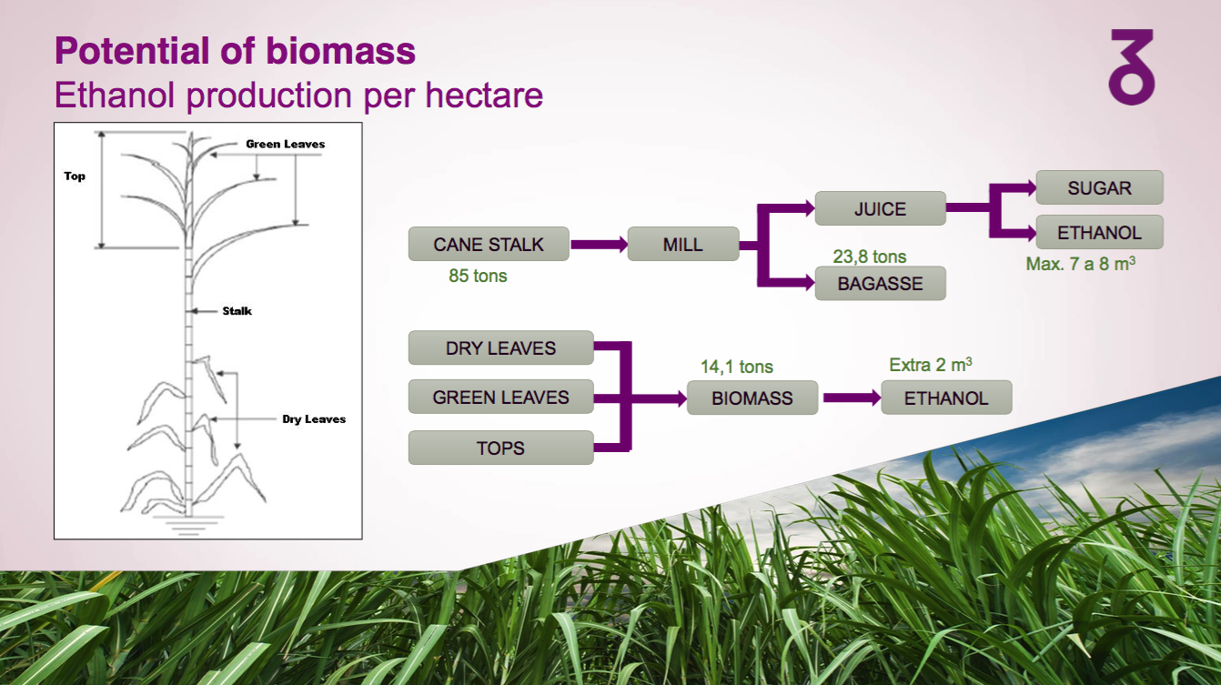 5potencial-biomassa