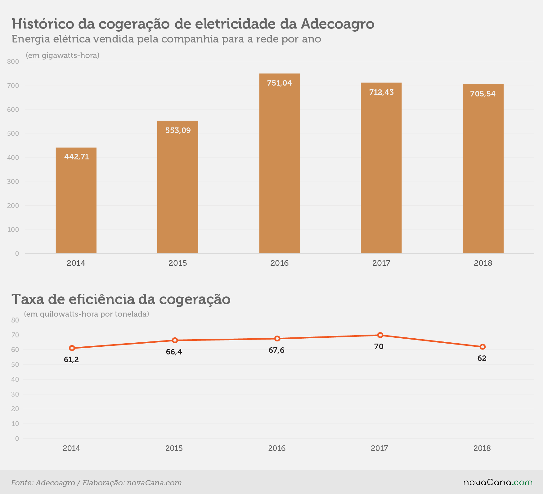 adecoagro 2018 4 cogeracao